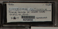 Image Associated With the Occurence